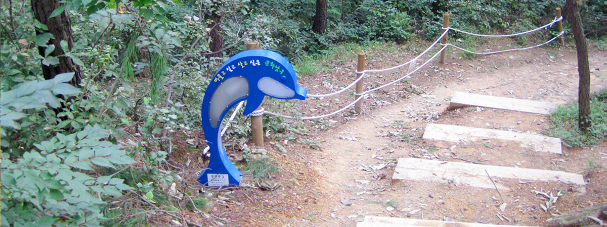 돌고래 조명등이 있는 솔마루길