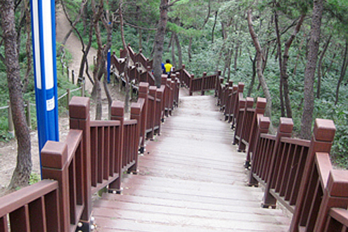 위에서 바라보는 솔마루길 나무계단