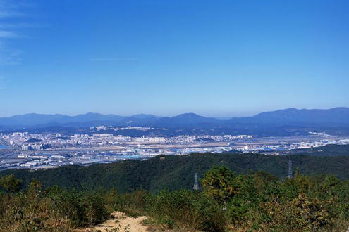 염포산에서 본 울산시가지