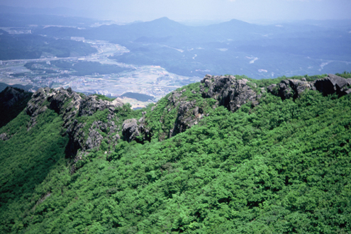 간월산 억새사이로 보이는 간월재모습