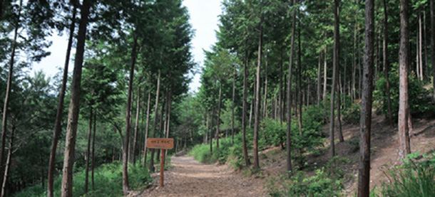 울산어울길