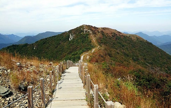 고현산 - 등산로