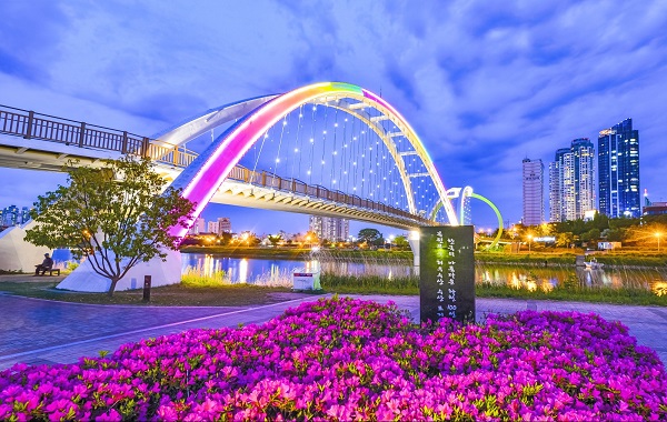 태화강국가정원 사진3_십리대밭교 야경