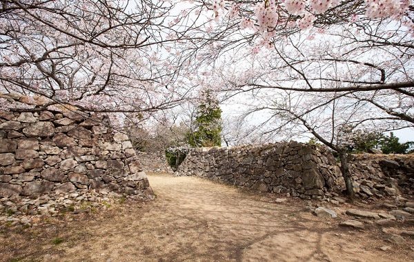 서생포왜성 - 성벽사진