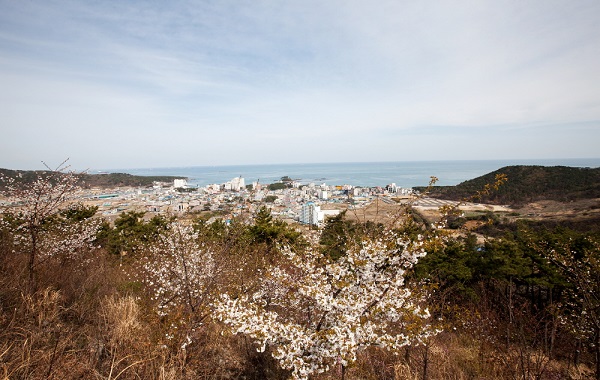 서생포왜성 - 멀리서찍은 사진