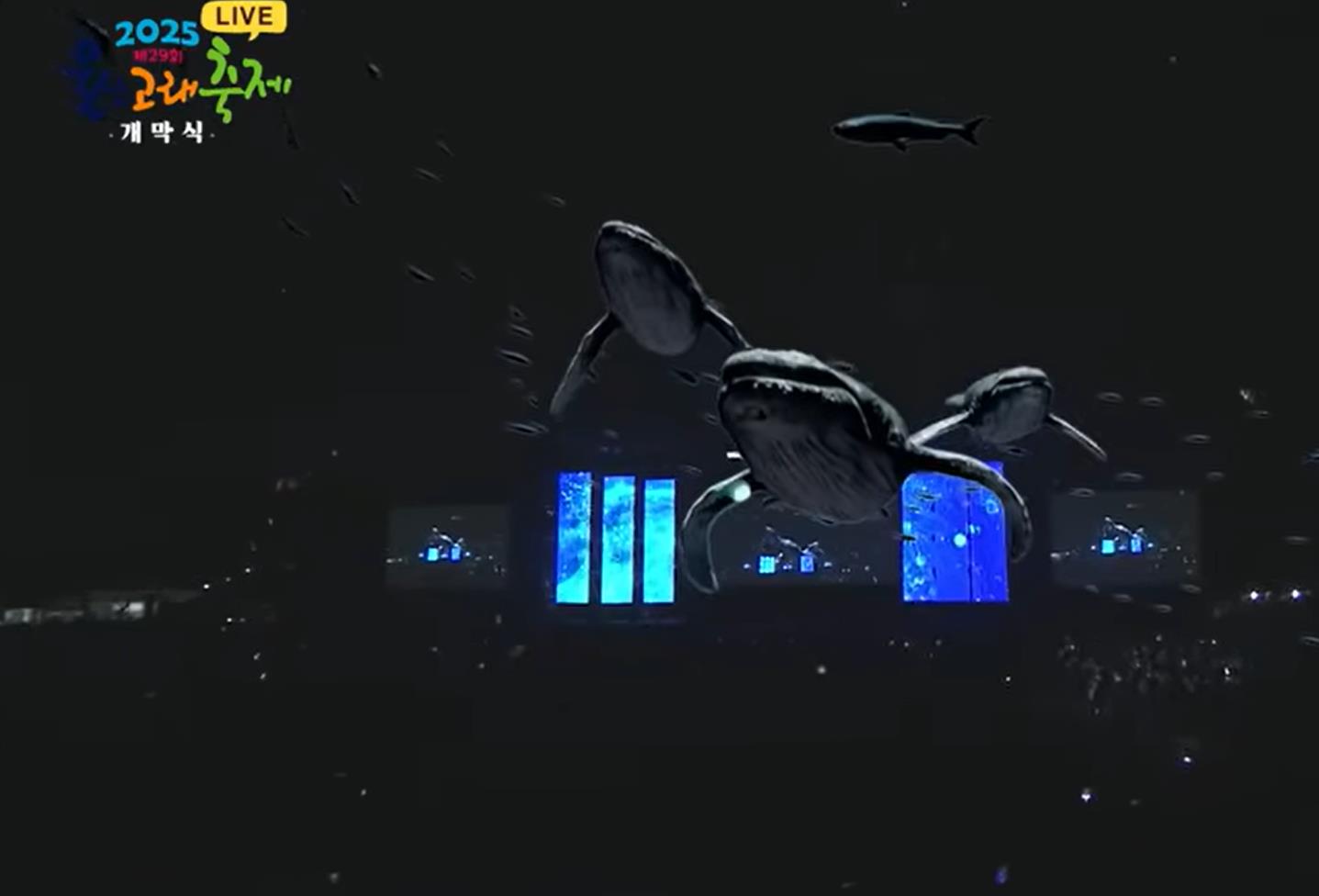 울산고래축제 현장사진