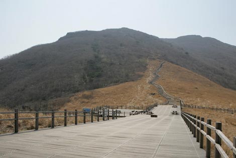 Silver grass of Sinbulsan Mountain