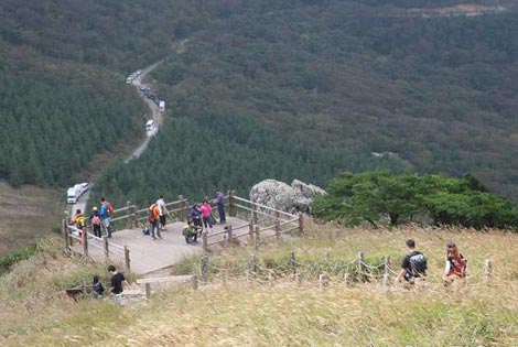 Silver grass of Sinbulsan Mountain