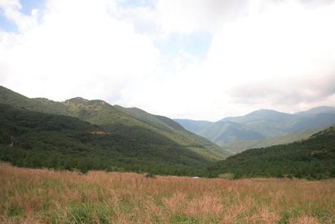 Yeongnam Alps Ganwoljae Pass
