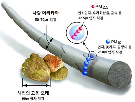 미세먼지(PM10)와 미세먼지(PM2.5)등 먼지 직경에 따라 구분-하단설명참조