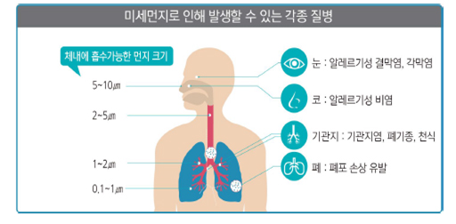 미세먼지로 인해 발생할 수 있는 각종 질병-하단설명참조