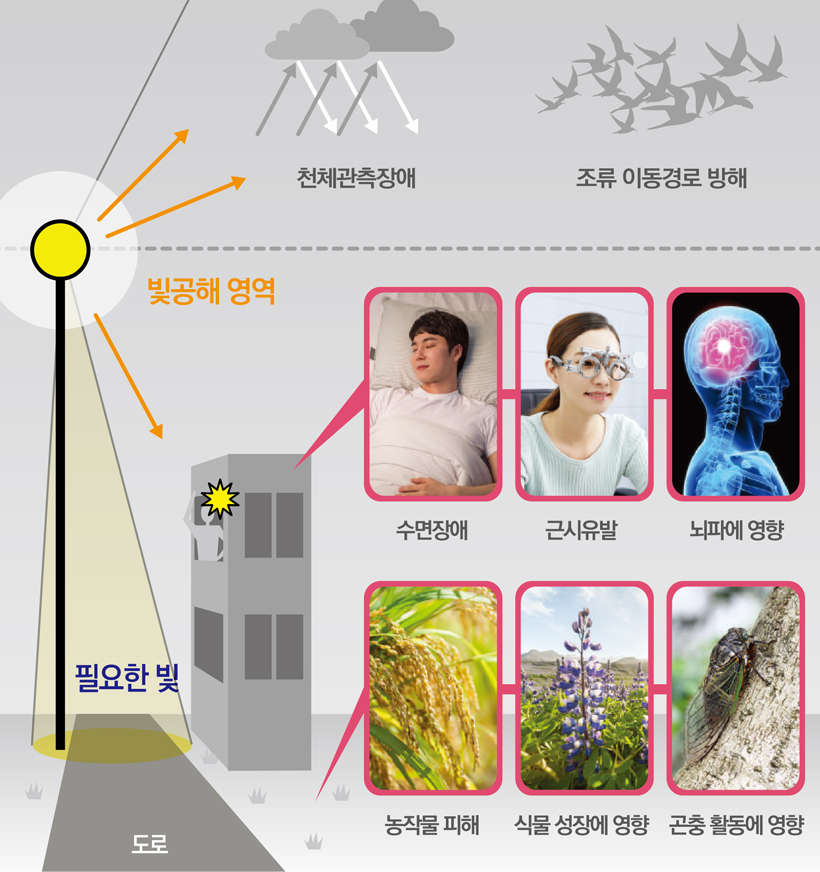 빛공해 영역 : 수면장애, 근시유발, 뇌파에 영향, 농작물 피해, 식물 성장에 영향, 곤충 활동에 영향