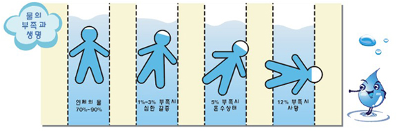 우리 몸에 물이 없다면-상단설명참조