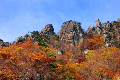 银波盛宴、神佛山紫芒海洋