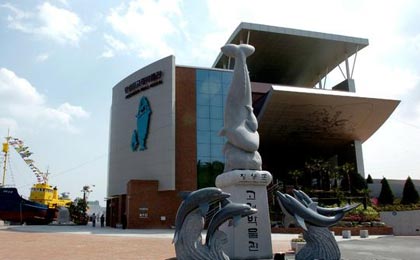 クジラに関する様々な情報を提供するクジラ博物館