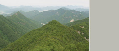 가지산진녹색