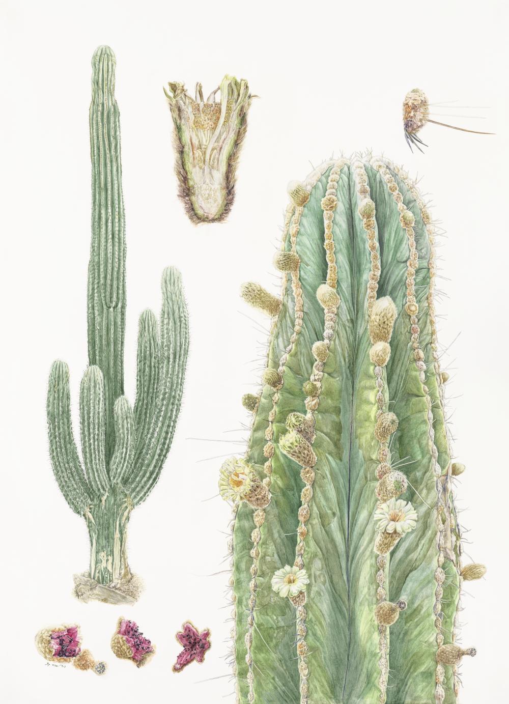 울산문화예술회관[미술] 드로잉 색연필