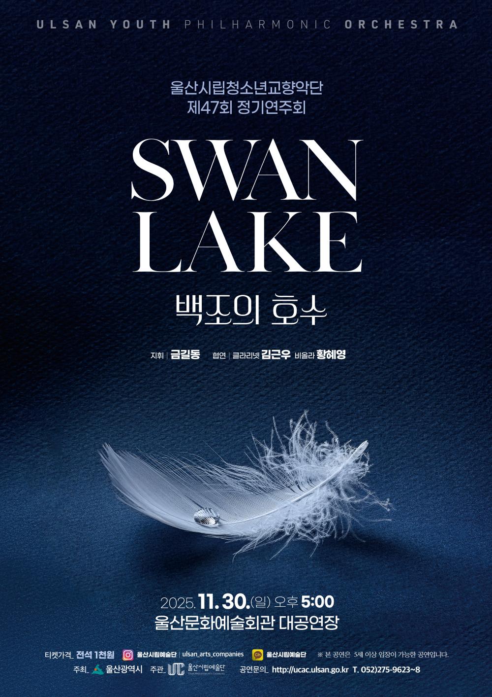 백조의 호수 포스터