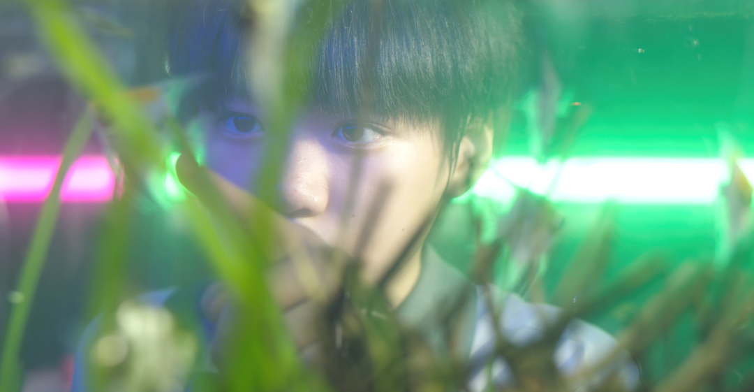 열대소년A Tropical Boy 이미지1