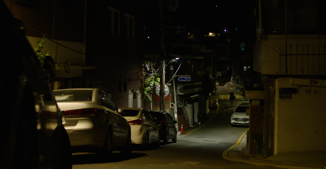 나방의 궤적The Trace of a Moth 이미지4