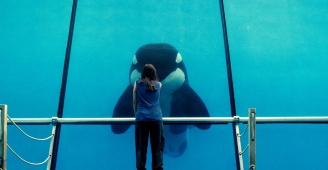러스트 앤 본Rust and Bone 이미지4