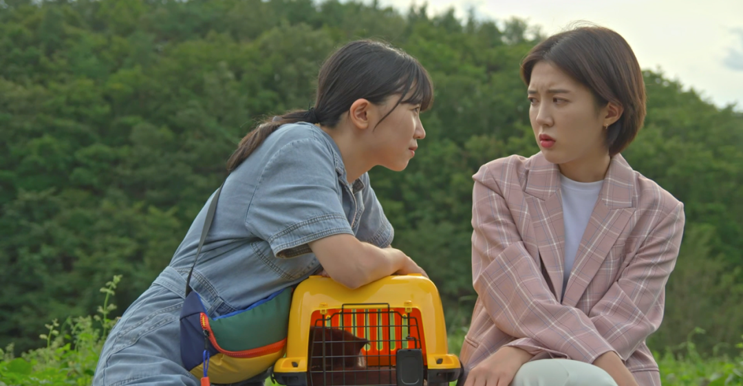 냉장고 안의 코끼리The Elephant Joke 이미지1